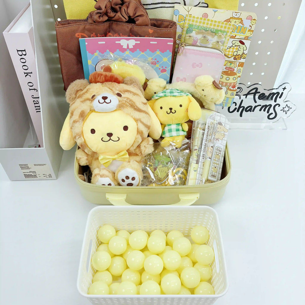 SA 14-Inch Suitcase Mystery Gift Box